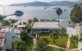 Mavi Suite Turkbuku